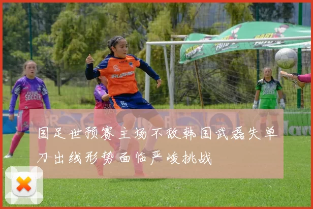 国足世预赛主场不敌韩国武磊失单刀出线形势面临严峻挑战