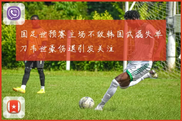 国足世预赛主场不敌韩国武磊失单刀韦世豪伤退引发关注